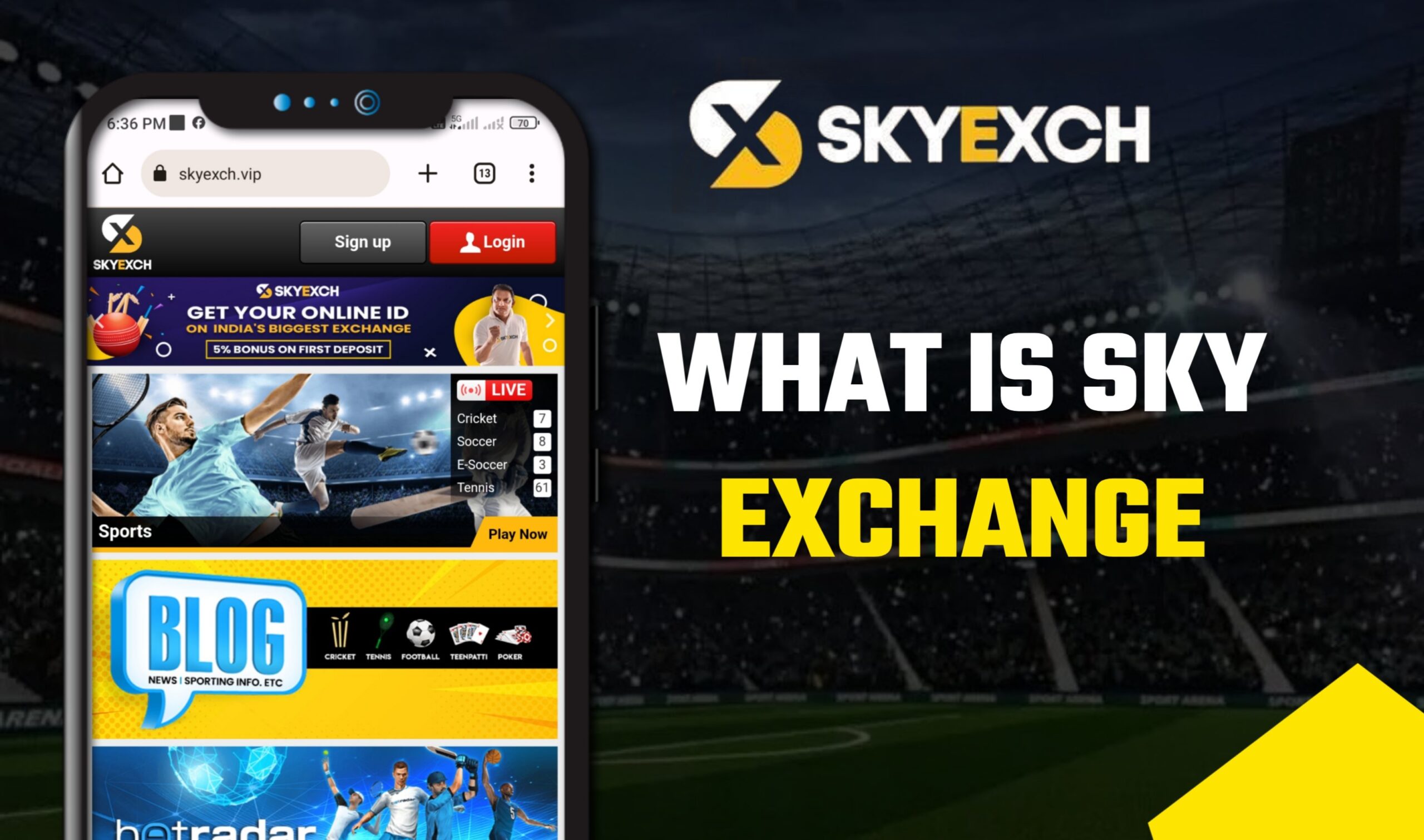 Cricket Predictions and Legal Betting: Skyexchange